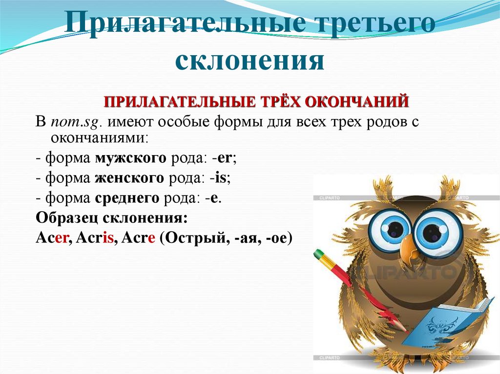 Прилагательные третьего склонения