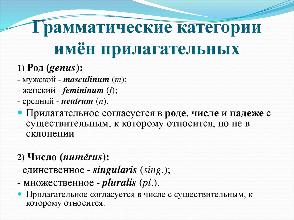 Грамматические категории имён прилагательных