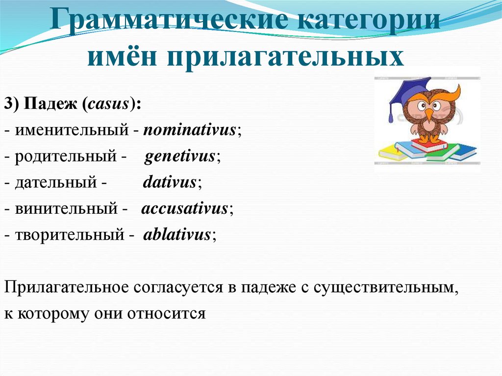 Грамматические категории имён прилагательных