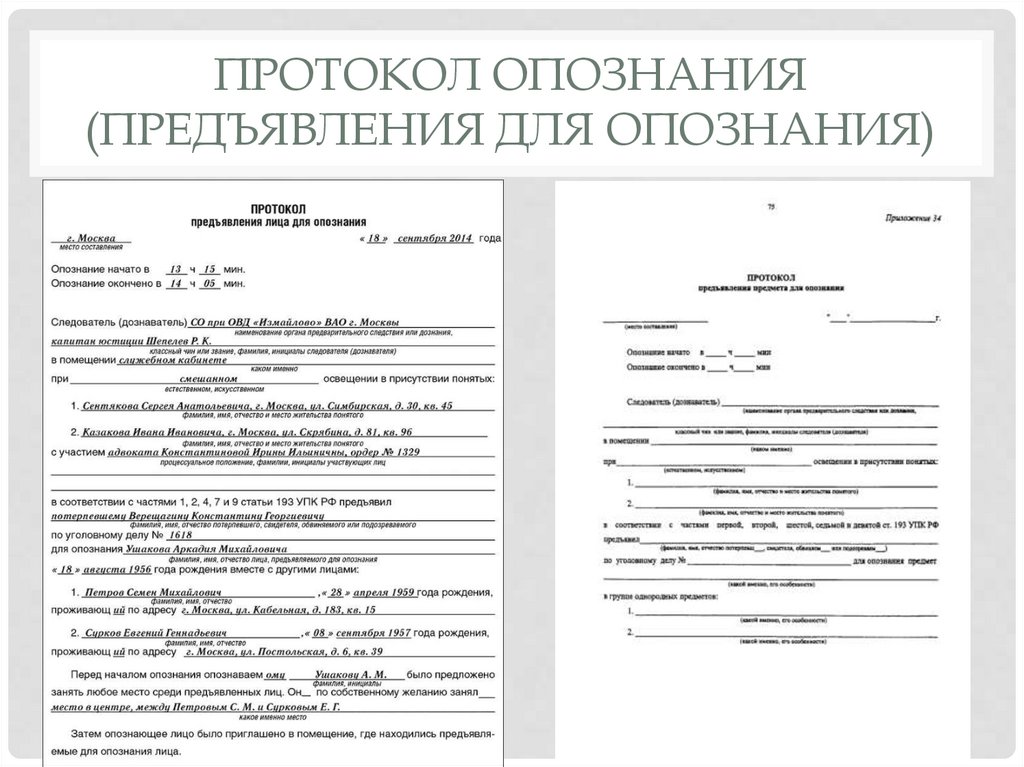 Протокол опознания (предъявления для опознания)