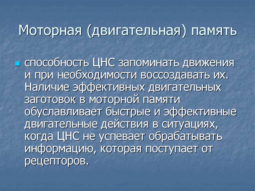 Моторная (двигательная) память