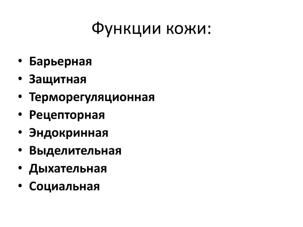 Функции кожи: