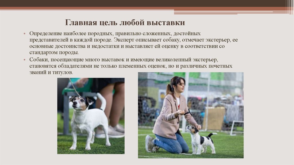 Главная цель любой выставки