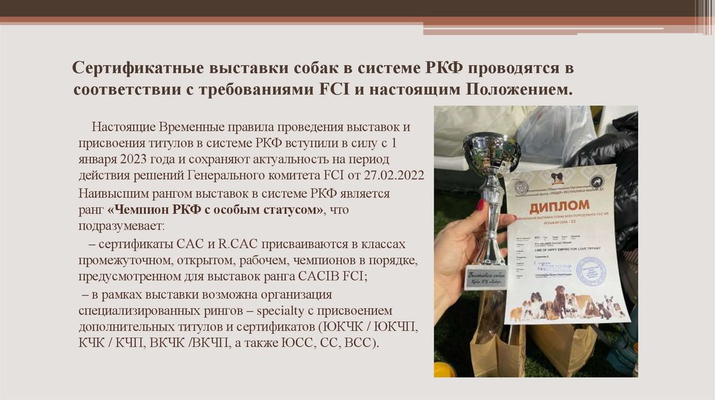 Сертификатные выставки собак в системе РКФ проводятся в соответствии с требованиями FCI и настоящим Положением.