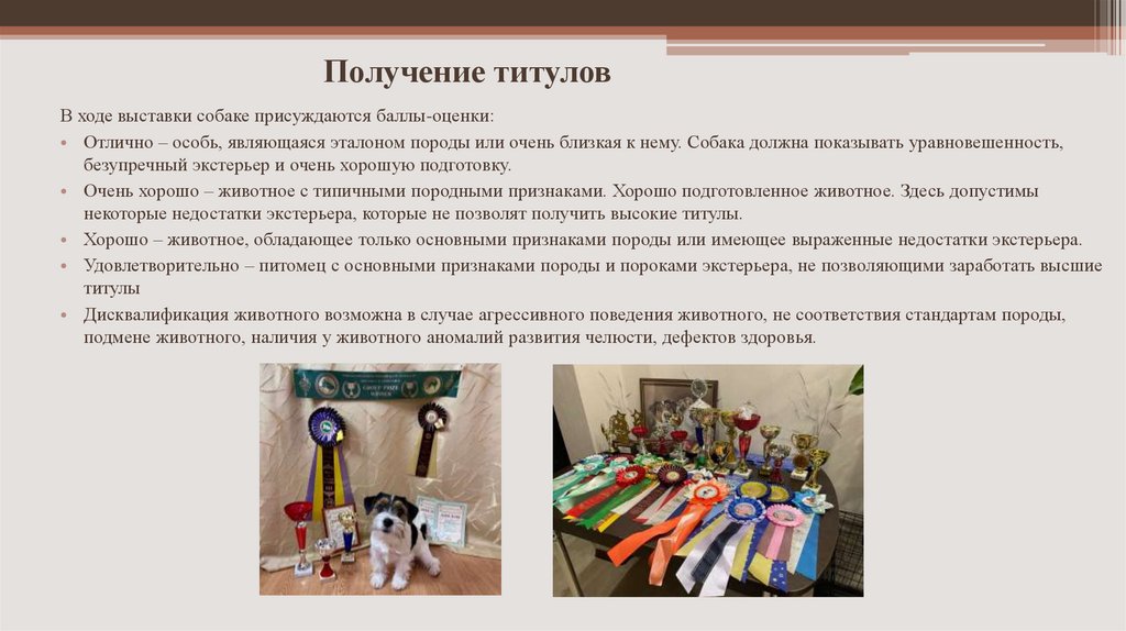 Получение титулов