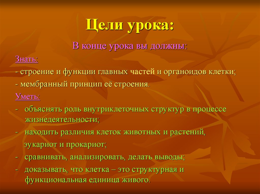 Цели урока: