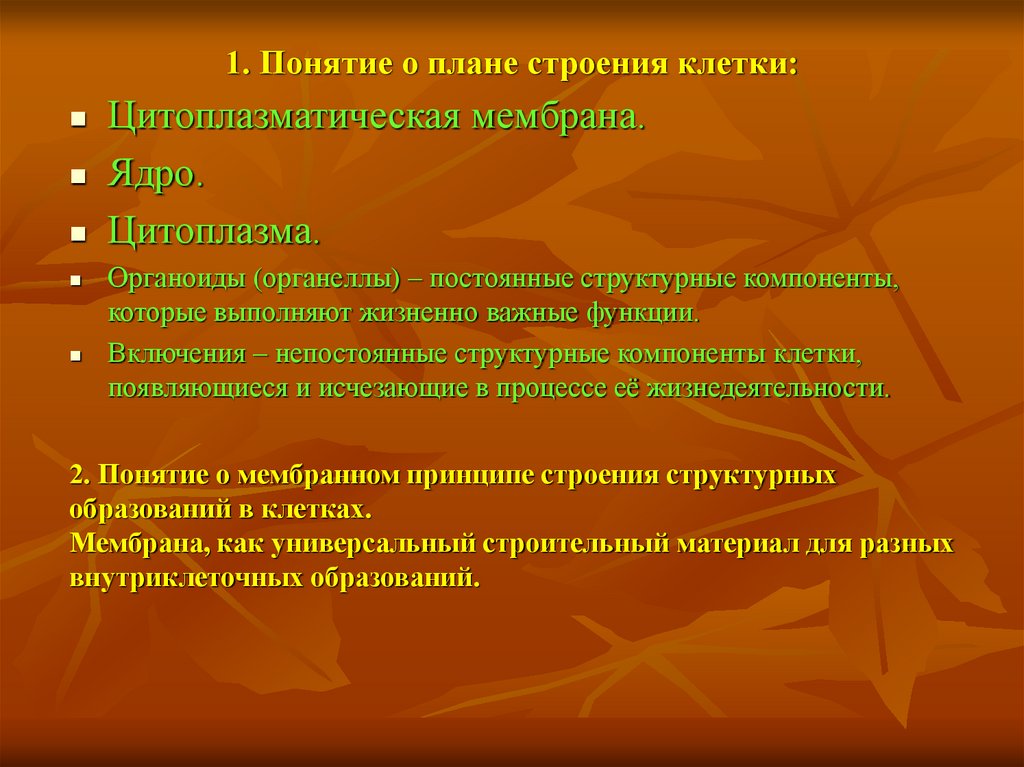 1. Понятие о плане строения клетки: