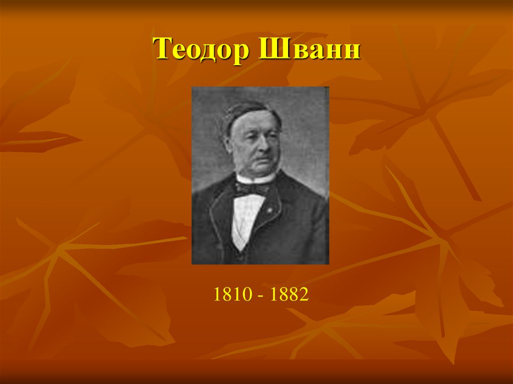 Теодор Шванн