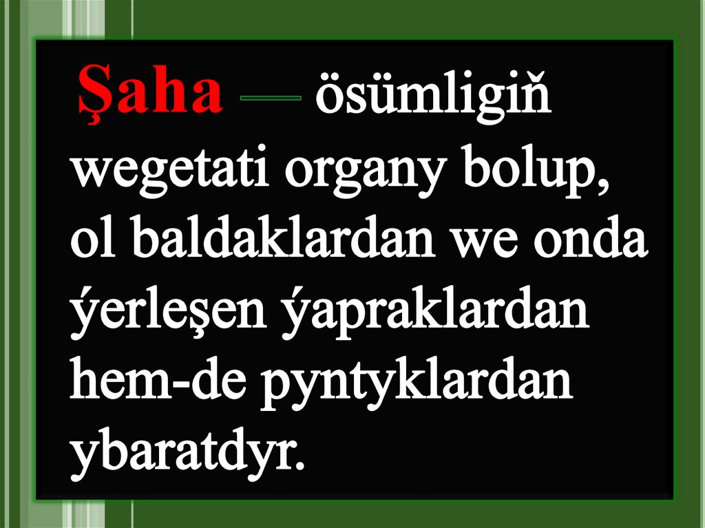 Topbak kök — gapdal we goşmaça köklerden emele gelen köklerdir. Esasy köki gowşak ösýär we öz ösüşini ir togtadýar. Ol bir