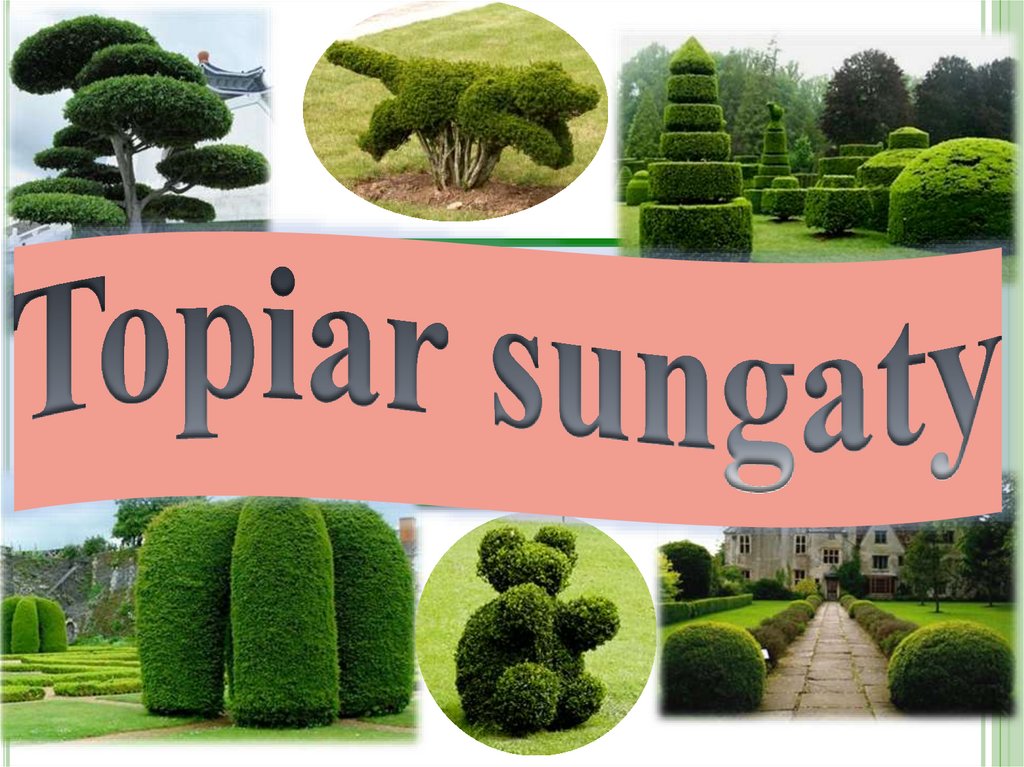 Pyntyklaryň görnüşleri: