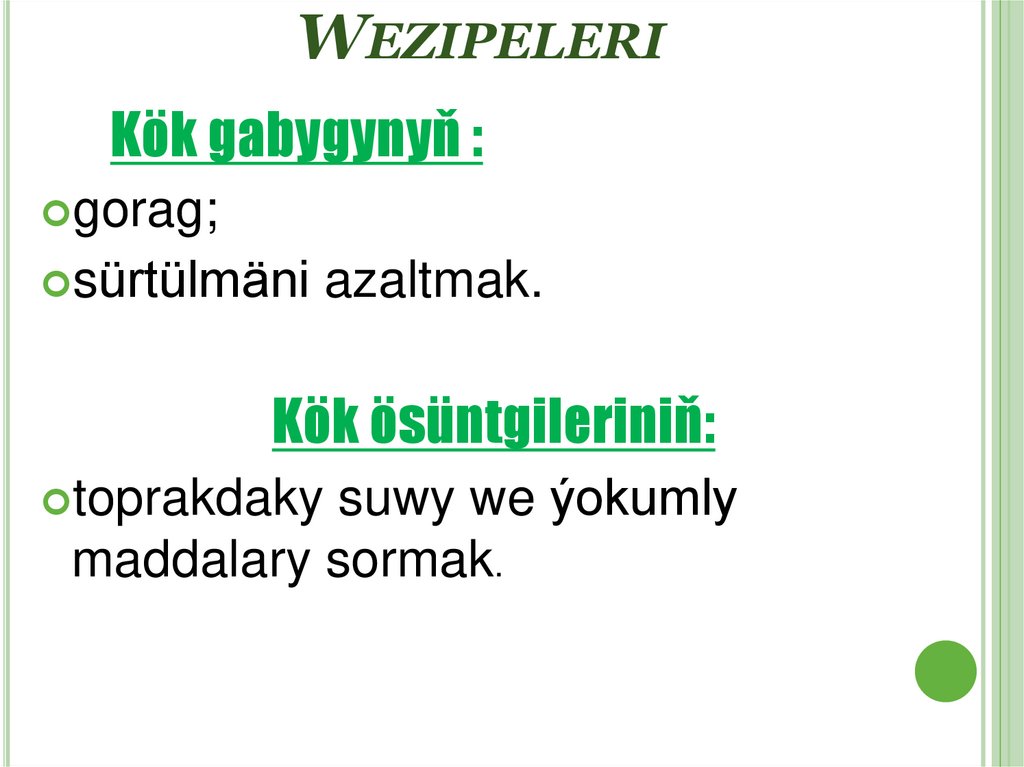 Wezipeleri
