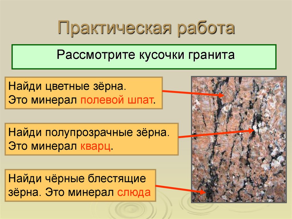 Практическая работа