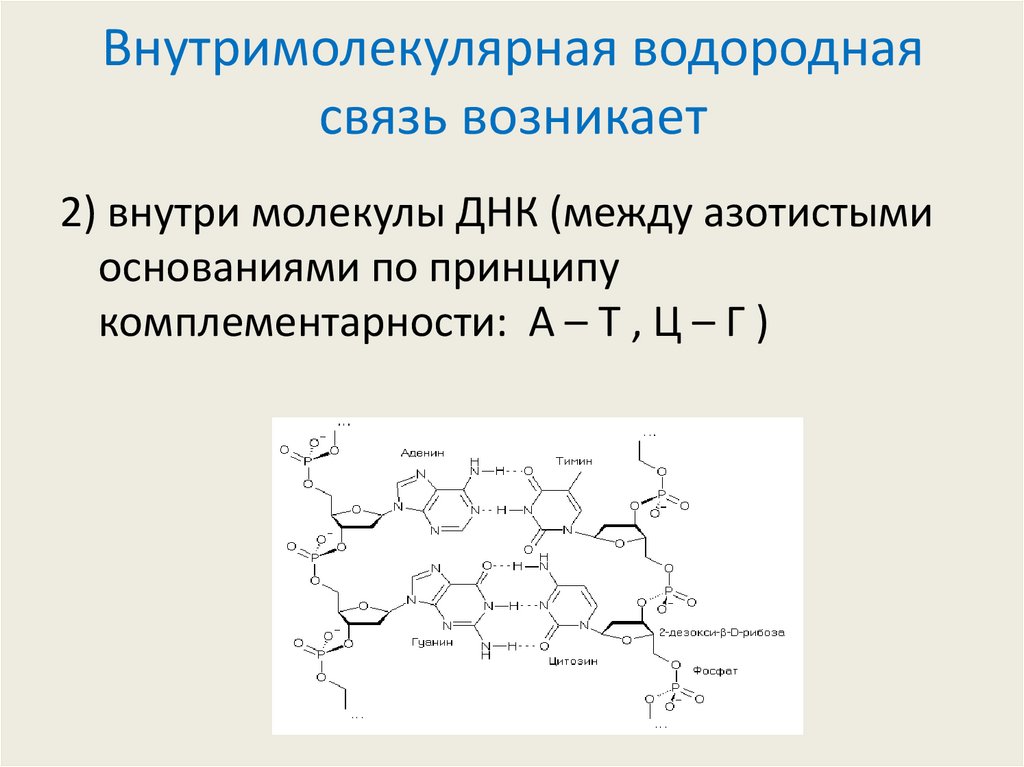Внутримолекулярная водородная связь возникает