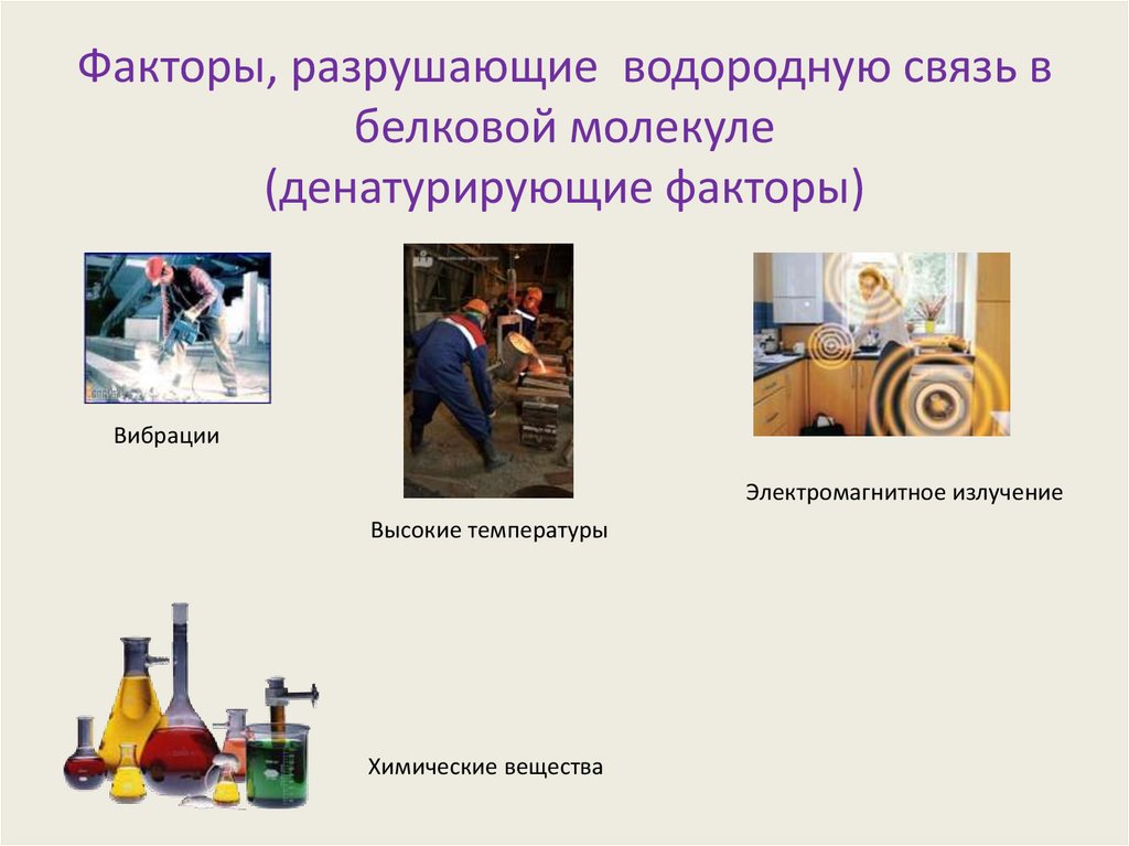 Факторы, разрушающие водородную связь в белковой молекуле (денатурирующие факторы)