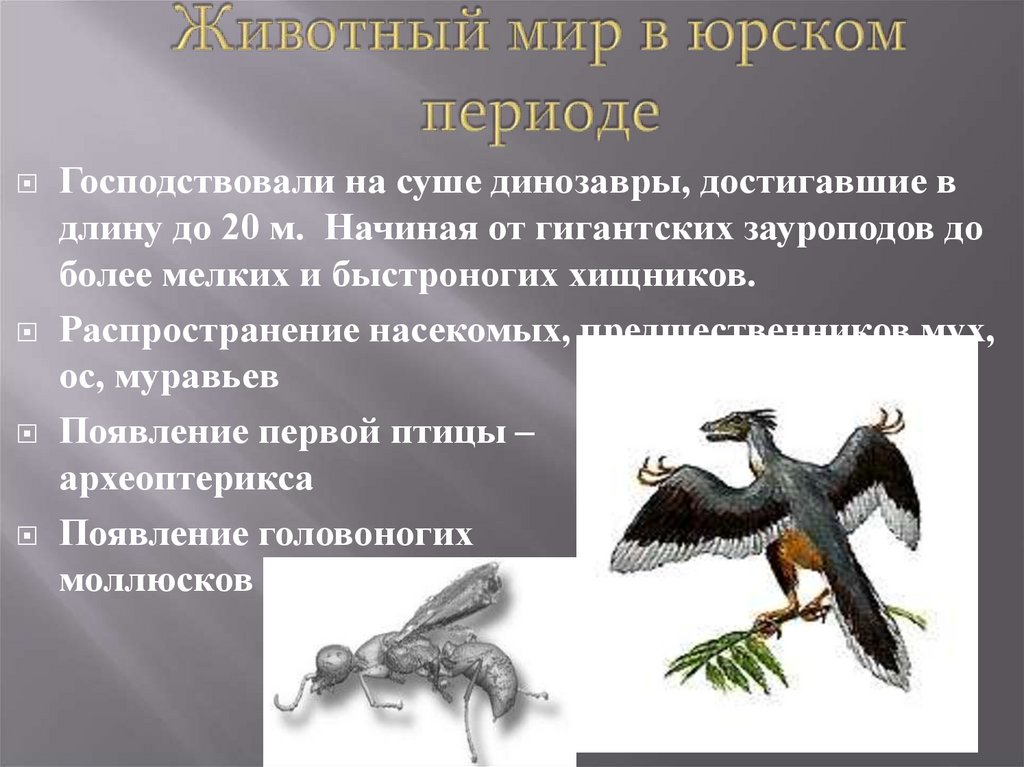 Животный мир в юрском периоде