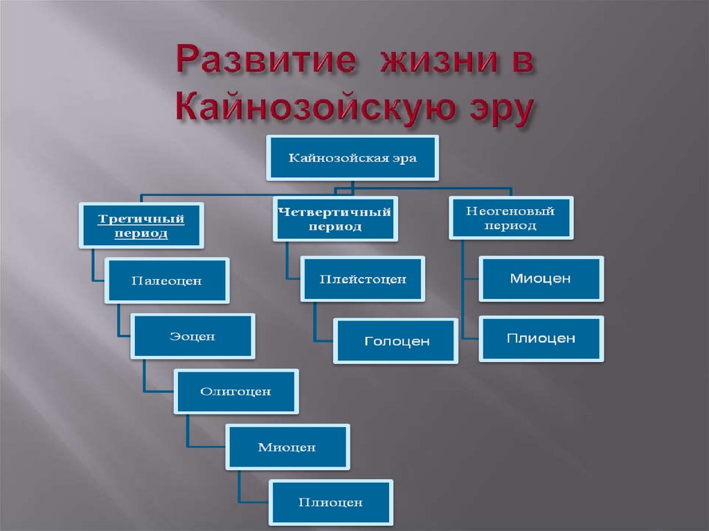 Развитие жизни в Кайнозойскую эру