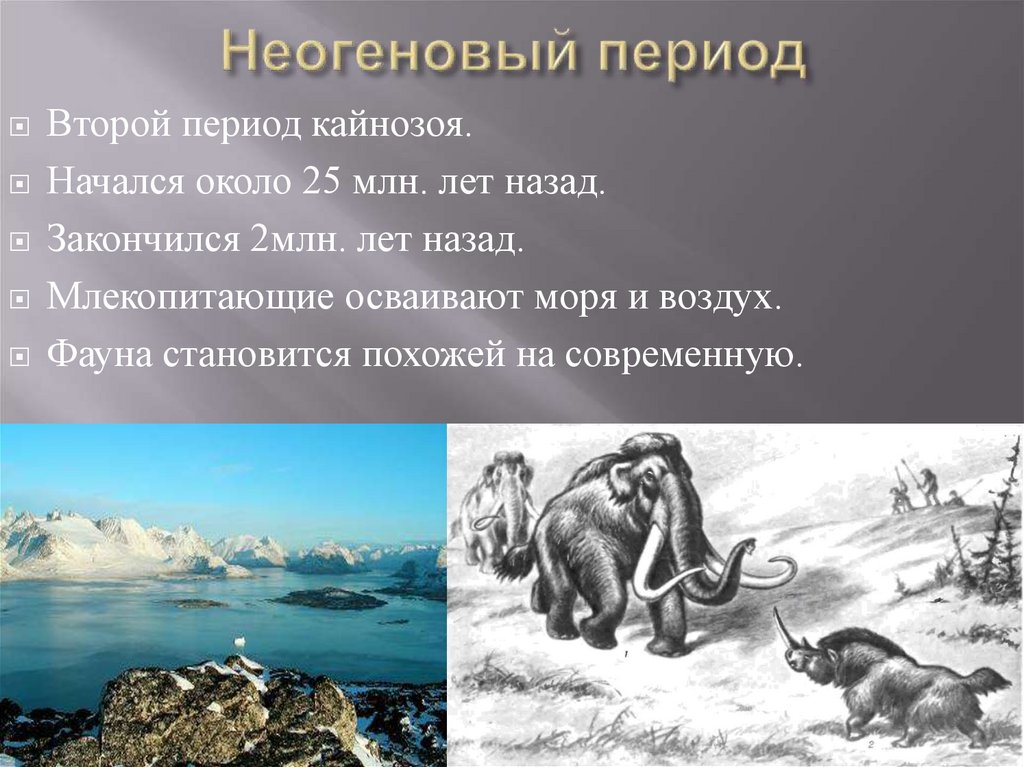 Неогеновый период