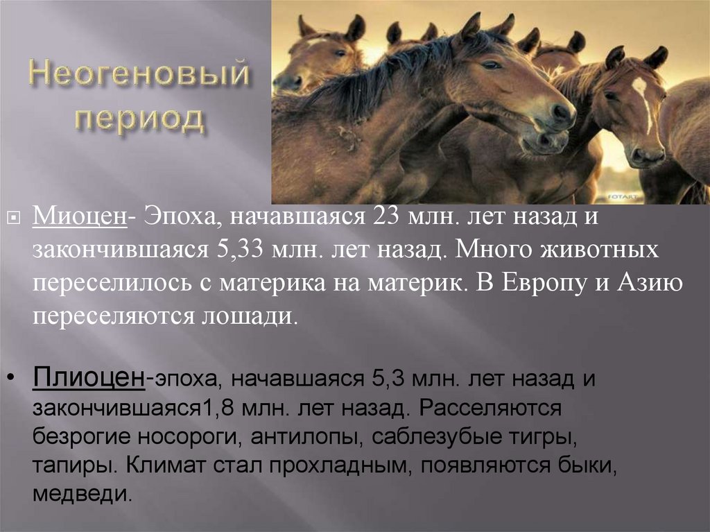 Неогеновый период