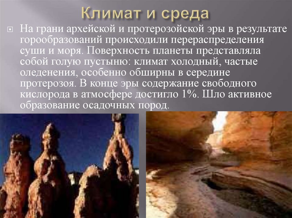 Климат и среда