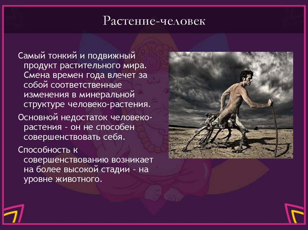 Растение-человек