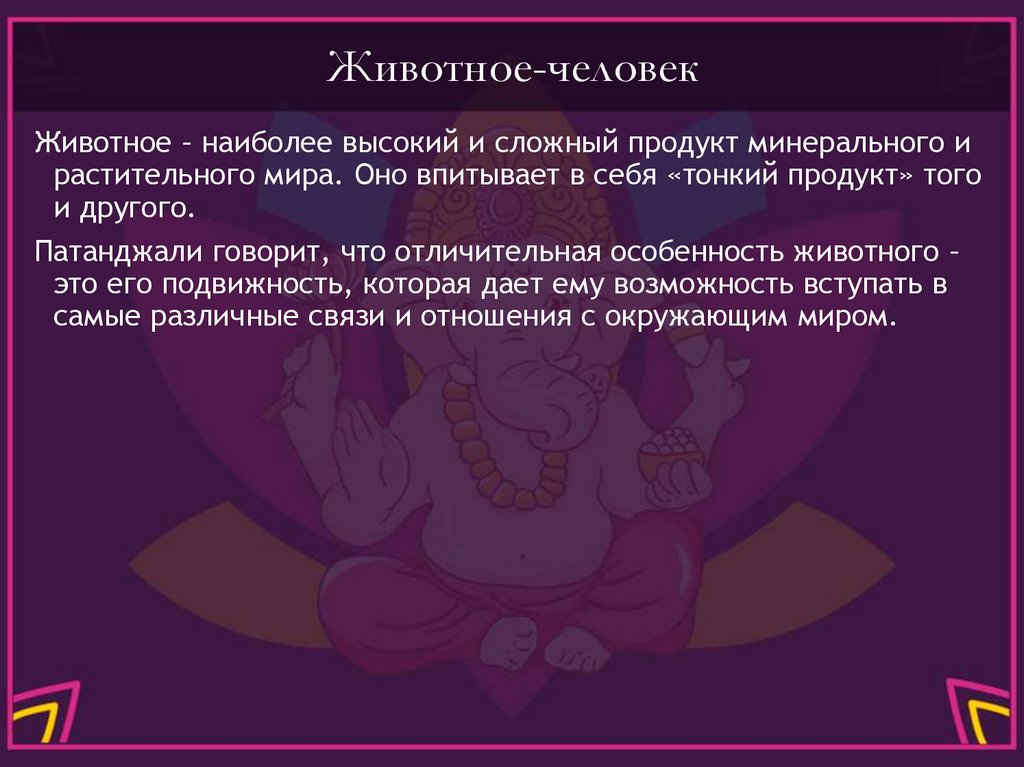 Животное-человек