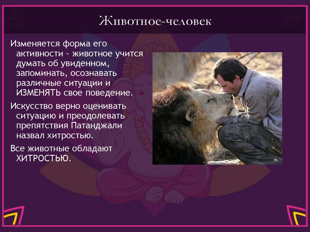 Животное-человек