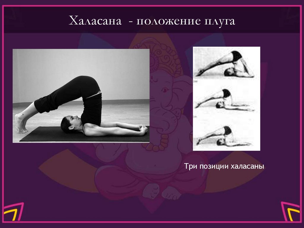 Халасана - положение плуга