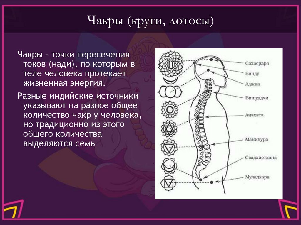 Чакры (круги, лотосы)