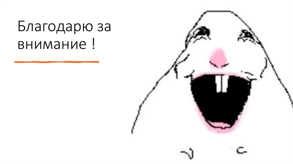 Благодарю за внимание !