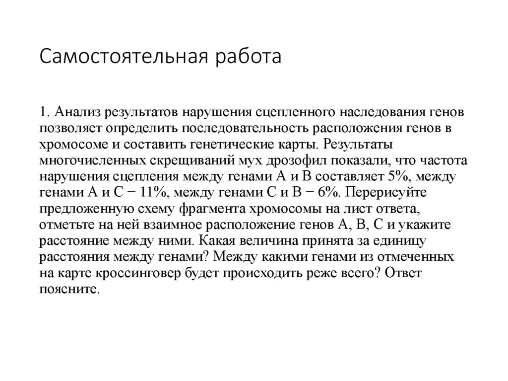 Самостоятельная работа