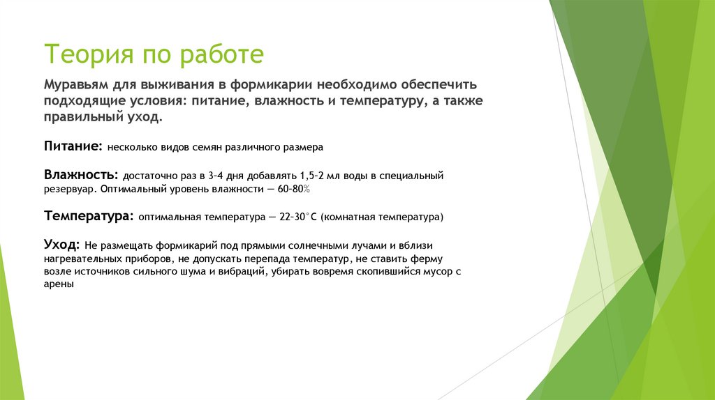 Теория по работе