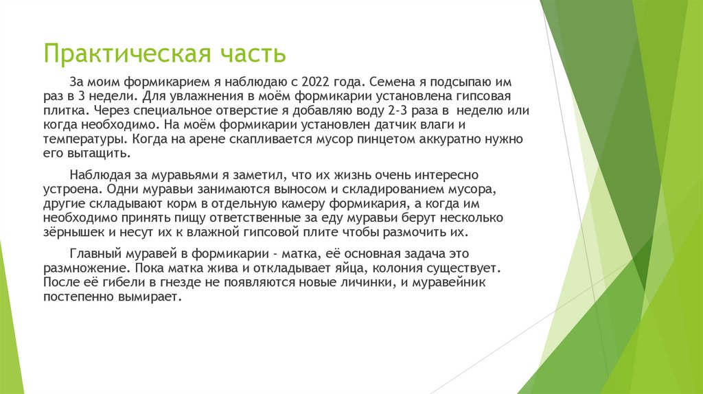 Практическая часть