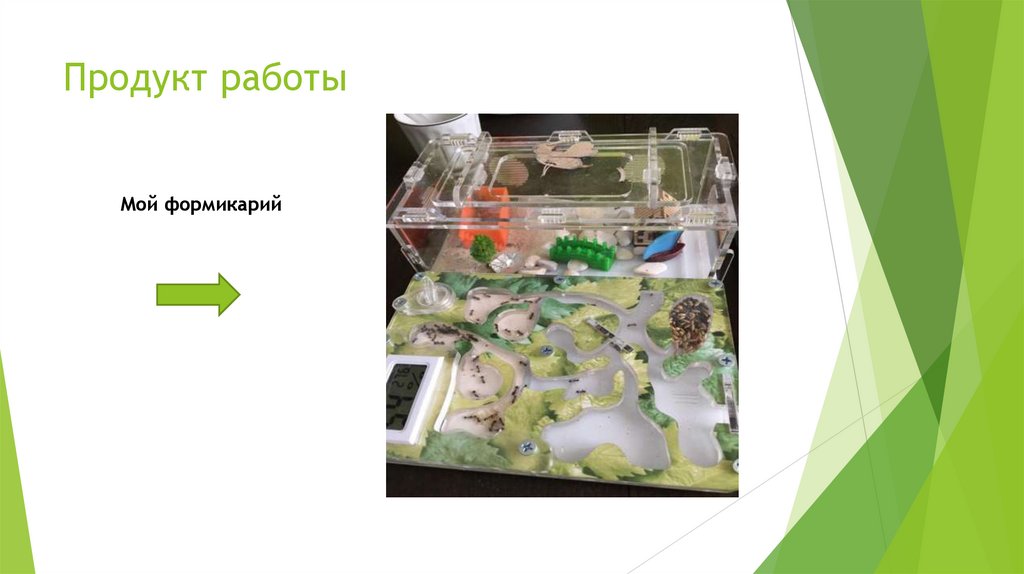 Продукт работы