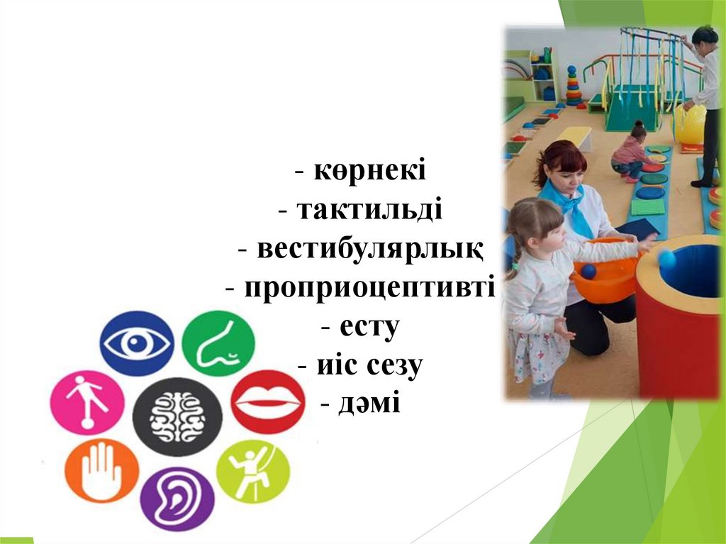 Сенсорлық жүйелер: