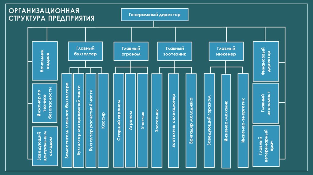 ОРГАНИЗАЦИОННАЯ СТРУКТУРА ПРЕДПРИЯТИЯ