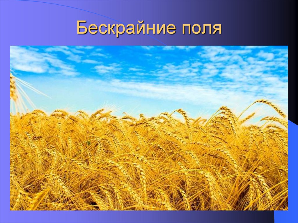 Бескрайние поля