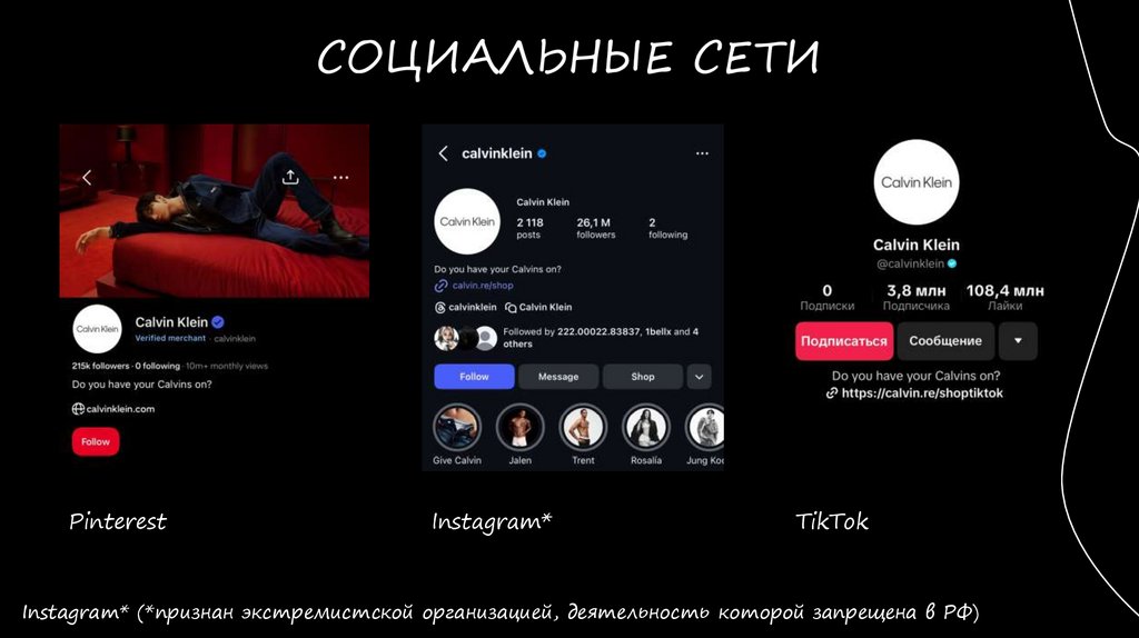 СОЦИАЛЬНЫЕ СЕТИ