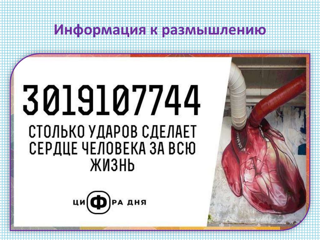 Информация к размышлению