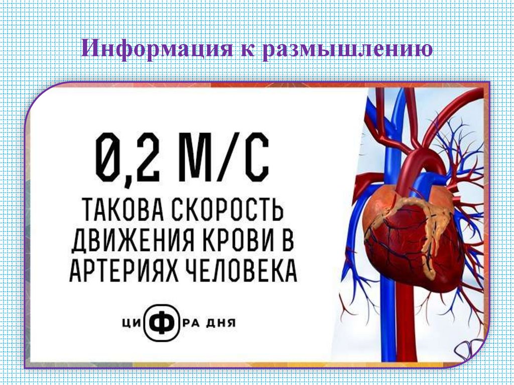 Информация к размышлению