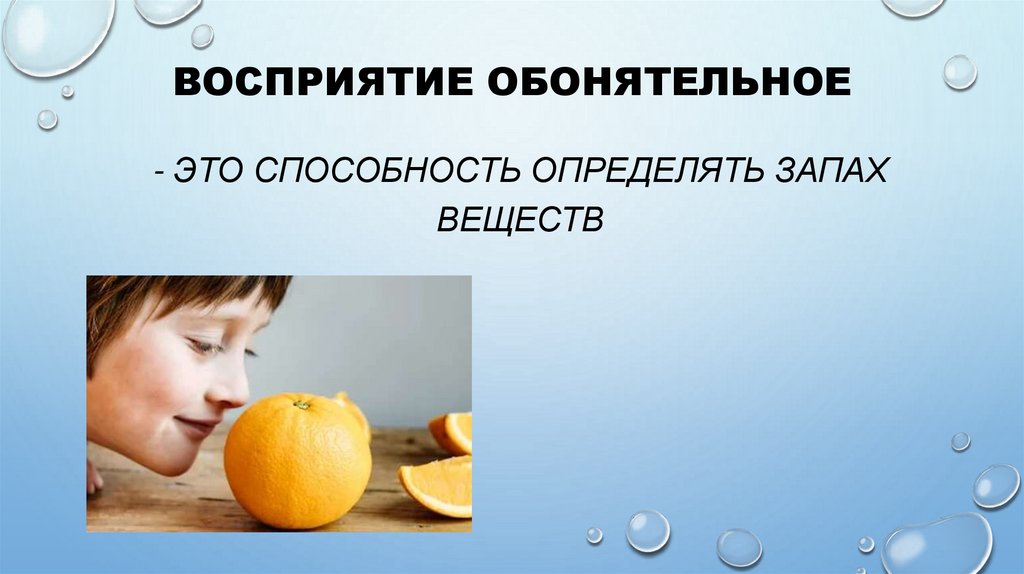 Восприятие обонятельное