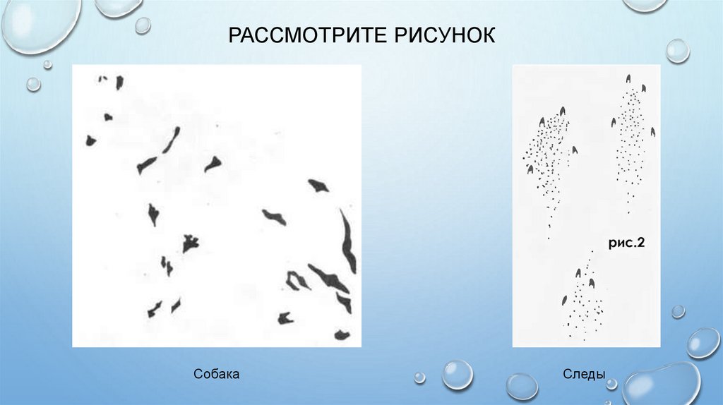 Рассмотрите рисунок