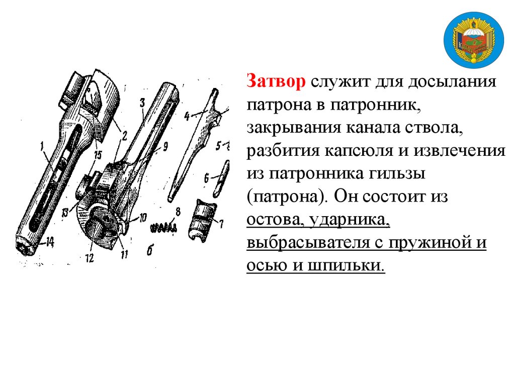 Затвор служит для досылания патрона в патронник, закрывания канала ствола, разбития капсюля и извлечения из патронника гильзы