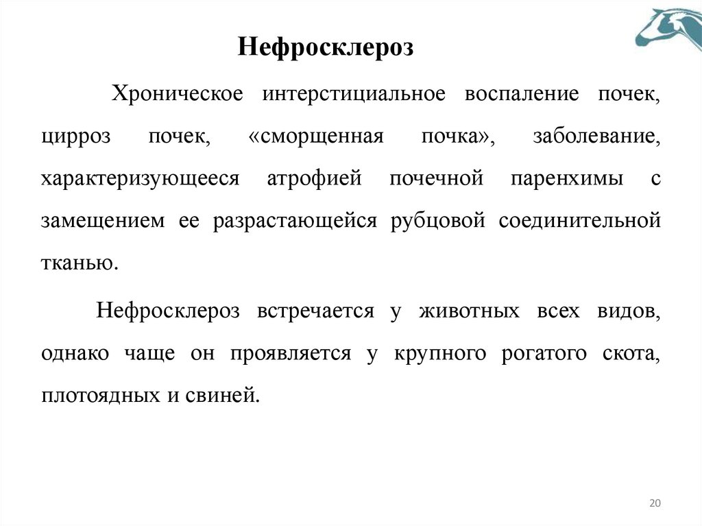 Нефросклероз
