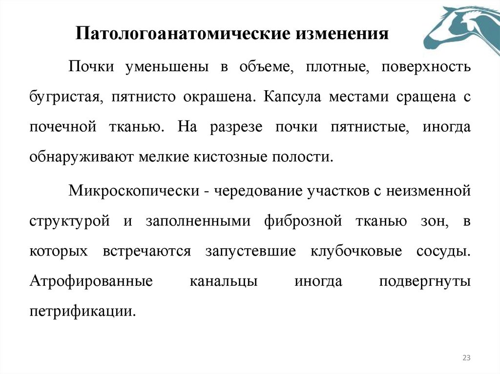 Патологоанатомические изменения