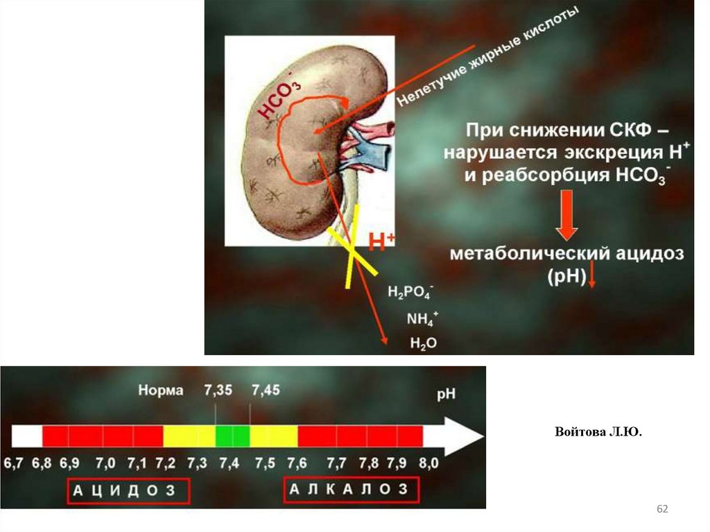 Войтова Л.Ю.