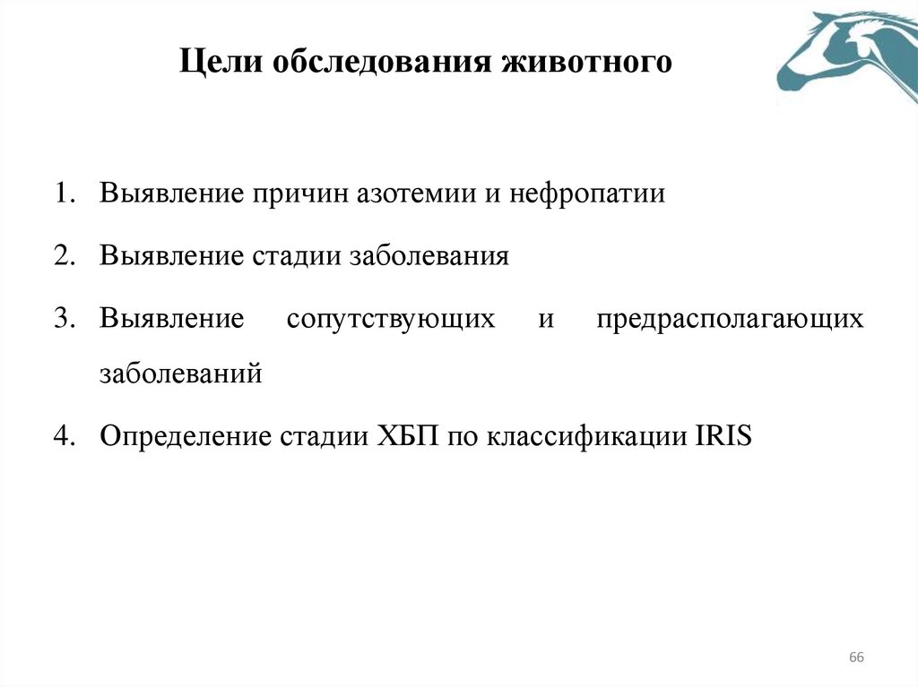 Цели обследования животного