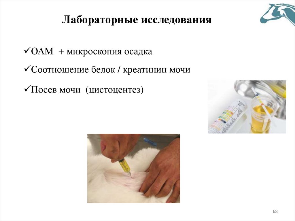 Лабораторные исследования