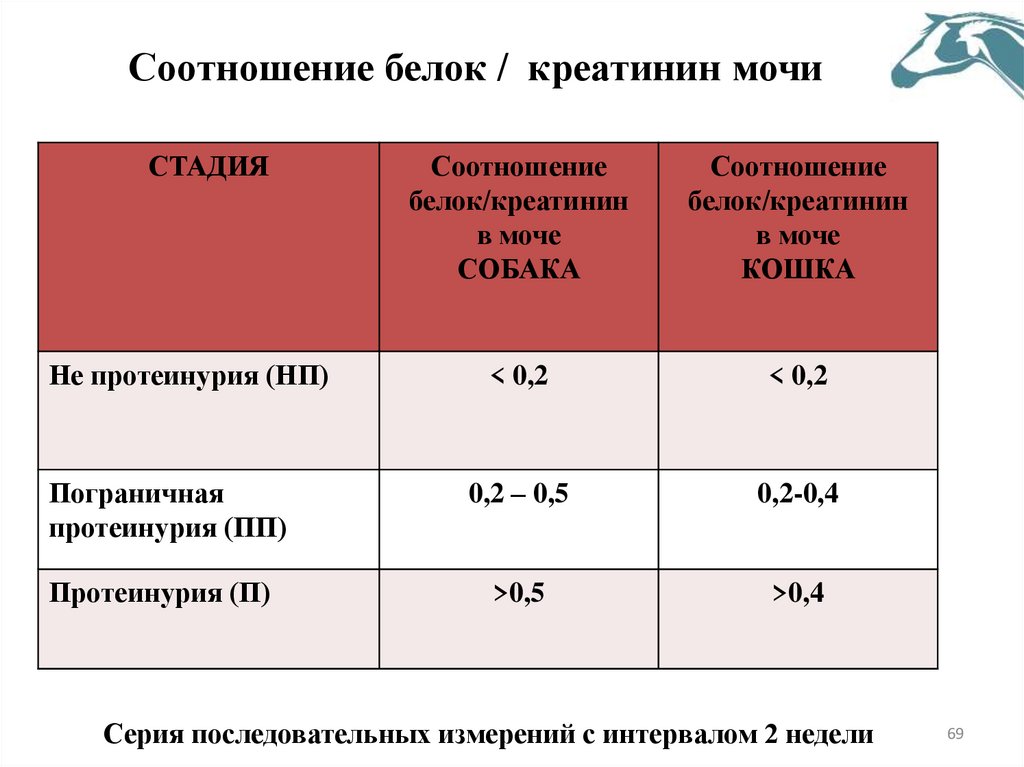 Соотношение белок / креатинин мочи