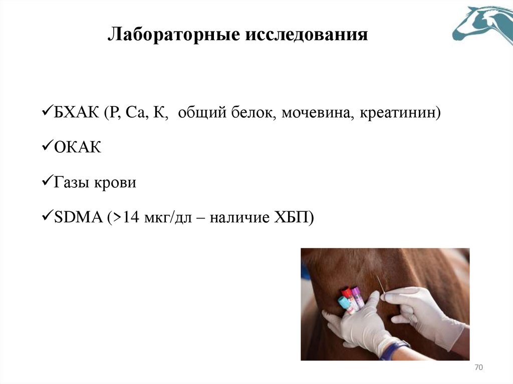 Лабораторные исследования