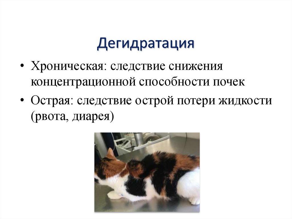 Дегидратация